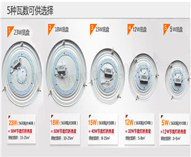 欧美精品蜜桃69桔色LED吸頂燈