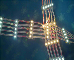 樂（lè）億迪LED燈串